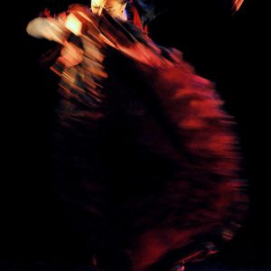 Pellizco Flamenco vol.2