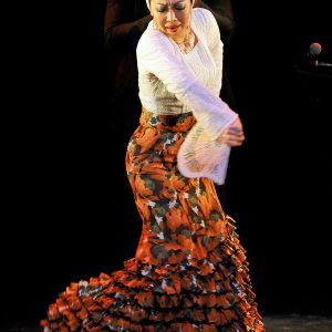 Pellizco Flamenco vol.2