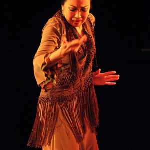 Pellizco Flamenco vol.1