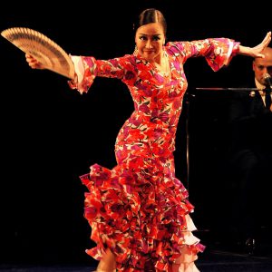 Pellizco Flamenco vol.1